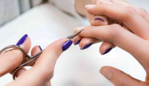 Beauty Franchise